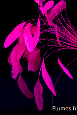 Coquetips - 13-18 cm - fuchsia